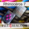 Rhinocéros 7 38